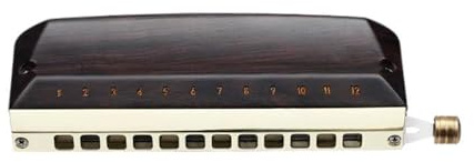 Mundharmonika Chromatische Mundharmonika 12 Löcher Mundharmonika Ebenholz Abdeckung Harfe Professionelle Armonica Instrumentos Holz Musikinstrumente