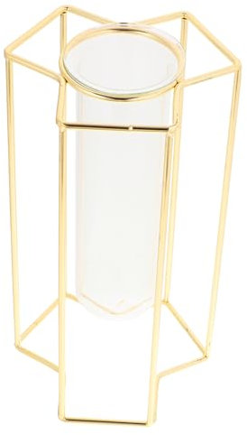 Cabilock Minimalistische Glasvase Mit Eisenständer Für Hydroponik Dekorative Blumenvase Für Wohn Und Badezimmer Für Trocken Und Frische Blumenarrangements Stilvoll Und Praktisch Für