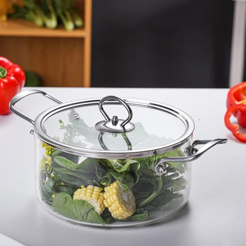 KTCINA Glas Kochtopf mit Deckel - 40-300 °C, 20 x 29.5 cm, 2.5 L, Antihaft, Modern, Schlicht, Durchsichtig, Hitzebeständiger Griff, Multifunktional, M, Schwarz