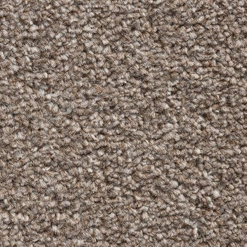 Tuda Carpets | Cavello 8mm Pile Budget Carpet with Felt Backing, 11mm Total Height | Sahara Tan (290) - 5m x 7m (16ft4 x 22ft11)