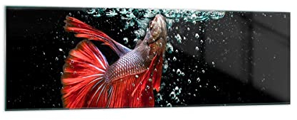 Panorama Bilder auf Glas 160x50cm Glasbild Fisch Wasser Natur Groß XXL Wanddeko Bild im Glas Schlafzimmer Küche Wandbilder Dekoration Wohnzimmer Modern Wall Decor Wand Kunstdruck Art GAB160x50-3492