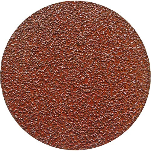 ROKAMAT Lot de 6 disques abrasifs grain 40 en carbure de silicium Ø 200 mm – Disque abrasif grain 40 – Compatible avec Chameleon et Fox