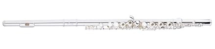 Stagg 25021009 WS-FL241S C MEC E Open Holes Flute mit S.C