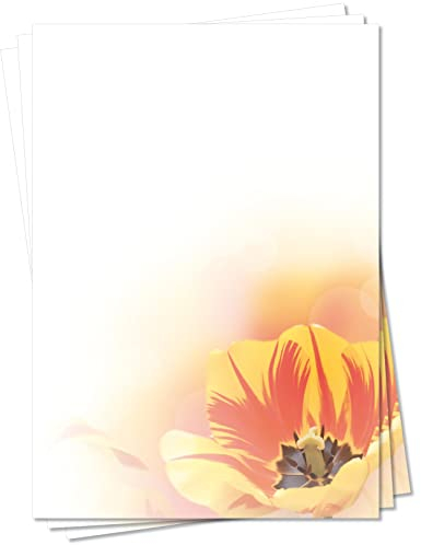 Motiv Briefpapier (Blumen-5116, DIN A4, 25 Blatt) Frühling Tulpen Tulpe rot-gelb Motivpapier Ostern