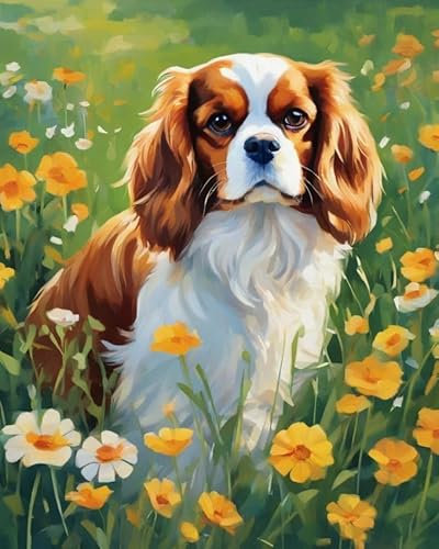 ZMHZMY Malen nach Zahlen Erwachsene,Cavalier King Charles Spaniel,Blumenwiesen DIY Handgemalt Ölgemälde Kits auf Leinwand Geschenk für Weihnachten Geburtstag Home Haus Deko - Ohne Rahmen