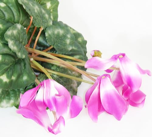 Zelda Bomboniere Alpenveilchen Pflanze 32 cm 7 künstliche Blumen Blumenarrangement (Lila)