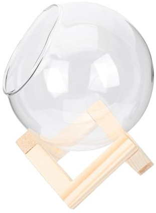Hemobllo Maceta de Vidrio 1 Juego con Estante de Madera, para Suculentas