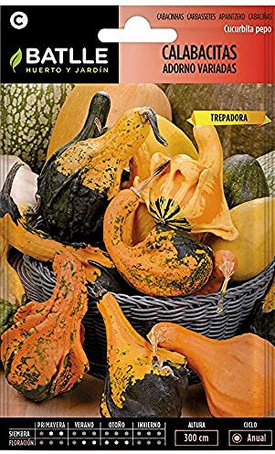 Semillas Batlle Calabacitas ADORNO variadas