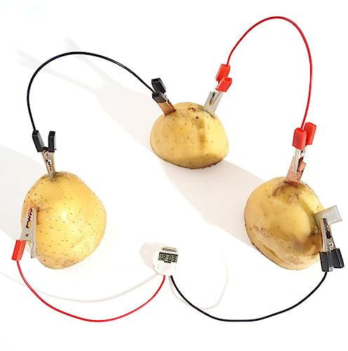 SEAFRONT Niños Educativos Bio Energía Ciencia Kit DIY Fruta Batería Papa Despertador Papa Electricidad Experimentos Juguetes para Estudiantes de Primaria Experimento Científico