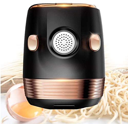 RONGJJ Machines à Pâtes Manuelles Entièrement Automatiques, Fabricant De Nouilles Multifonction à Pression électrique Verticale avec 11 Moules pour Pâtes Fraîches
