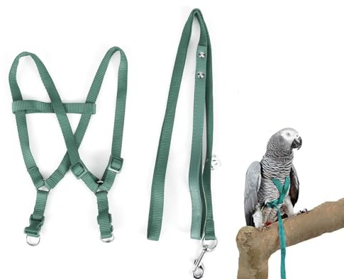 Nicoone Harnais et Laisse pour Oiseaux Ara Cacatoès Laisse Réglable pour Perroquets (Vert)