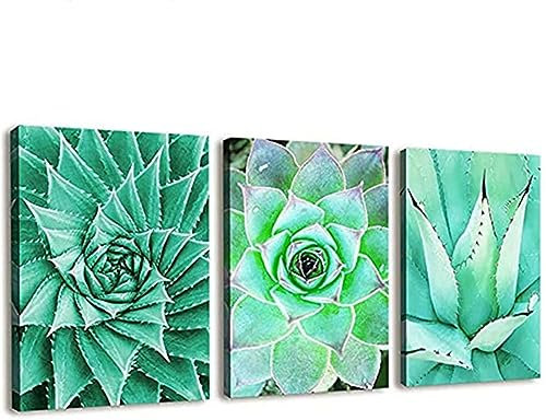 3 Teilig Diamond Painting Set Full, Grüne Sukkulenten 5D Diamant Malerei Bilder, DIY Diamant Gemälde Voll Strass Stickerei Kreuzstich Kits Kunst Handwerk Leinwand Wanddekor(Square drill)40x50cm