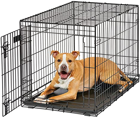 MidWest Homes for Pets Intermediate LifeStages - Jaula para perros de 91 cm plegable y de una sola puerta, seguridad mejorada, incluye bandeja a prueba de fugas, panel divisor, asa, patas de goma