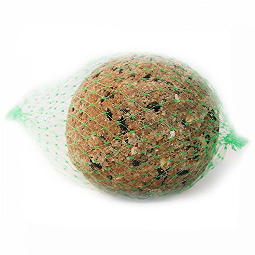 Paul´s Mühle Riesen-Meisenknödel, Premium Ergänzungsfutter für Wildvögel, mit Netz im Karton, 16 Stück (16 x 500 g)
