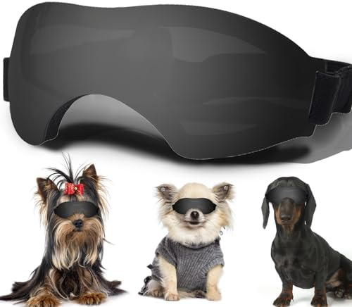 Sonnenbrille für kleine Hunde, mit verstellbarem Riemen, UV-Schutz, winddicht, geeignet für kleine Hunde, Haustierbrillen, Augenschutz