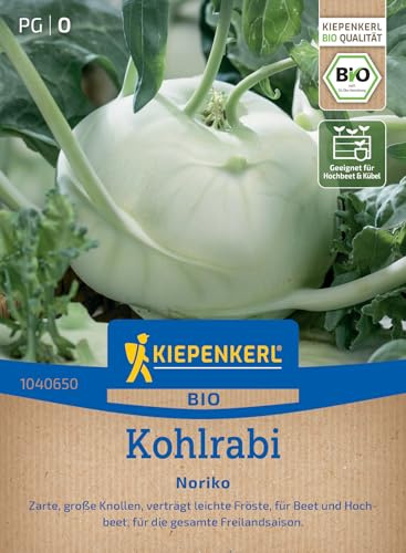Kiepenkerl BIO Kohlrabisamen Noriko 1040650, Gemüsesaat | Zarte, verträgt leichten Frost, Freilandsaison, aromatisch, für Beet, Hochbeet & Freiland