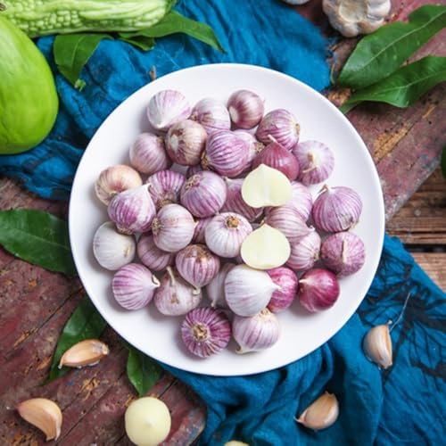 KnoblauchSamen-pflanzknoblauch,bio saatgut,einfach zuPflanzenSamenanzucht,Pflanzenwinterhart draußen winterharte 300pcs