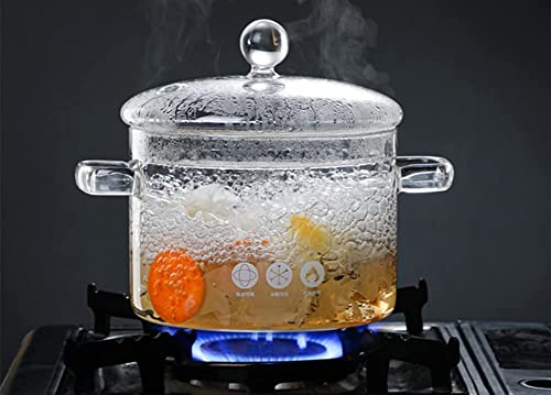 Pentola per Zuppa 1,5 L/50 oz Con Doppio Manico e Coperchio, in Vetro Trasparente Borosilicato Resistente Alle Alte Temperature