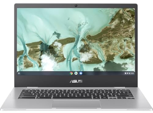 ASUS Chromebook CX1 Ordinateur portable Full HD de 14, Intel Celeron N4500 1,1 GHz, 8 Go de RAM, 64 Go de mémoire flash eMMC, Chrome OS, argenté transparent