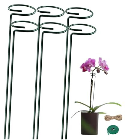 6 Stück Pflanzenstütze, 40cm Grüner Pflanzenstütze Staudenhalter Strauchstütze Stahl Garden Single Stem Stützring für Pflanzen Blumen Gemüse