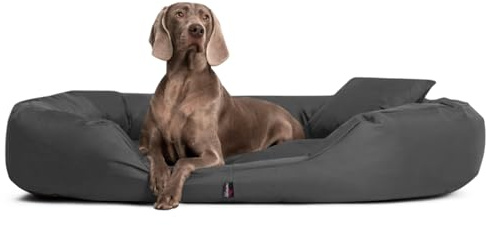 tierlando® Orthopädisches Hundebett Sammy mit viscoelastischer Matratze und hohem Rand aus robustem Polyester für gelenkschonenden Schlaf und höchsten Komfort Größe: 140x105cm | Farbe: 02 Graphit
