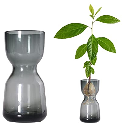 Glashyazinthe Blumenvase, Glasvase für Blumen Hyazinthe Hydrokulturvase Hyazinthe Samen Starter Vase Hyazinthe Baum Growing Kit Home Table Decor