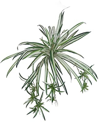 32 Artificial Spider Fern Plant - 60 Realistic Silk Fronds - UV Resistant for Indoor & Outdoor Decor - Perfect for Home, Garden & Patio