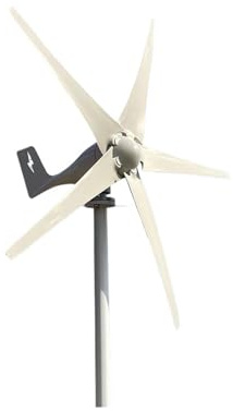 Aerogenerador Pequeña turbina eólica de energía libre, 3000w, 48v, 24v, 12v, 5 aspas, molinos viento, granja yates RV for uso doméstico(48V)
