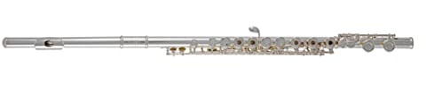 Roy Benson tvärflöjt FL-402R2 (design med dubbla huvudleder, rak och böjd, lyxig nickel-silver silverplätering, ringknappar och inline-funktion, inkl. premiumtillbehör)