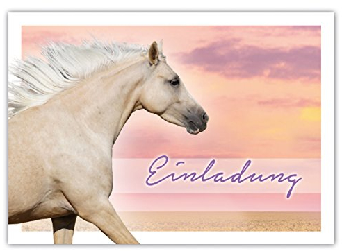10 Pferdeeinladungen zum Geburtstag PALOMINO / Einladung mit Pferd für Mädchen/Einladungskarten Pferd/Pferdegeburtstag