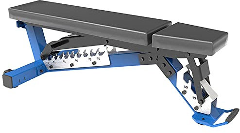Hantelbank, verstellbare Trainingsbank, Mehrzweck-Übungsbank, professionelle Schrägbank, Krafttrainingsgerät für Zuhause, Fitnessstudio, Langhantel, Hantel-Training, Belastung, 1000 kg, Blau, 142 x 60