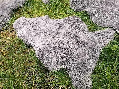 Provellus Echte kurz gelockte Gotland Schaffellen grau L - XXL (100-110 cm x 50-60 cm)