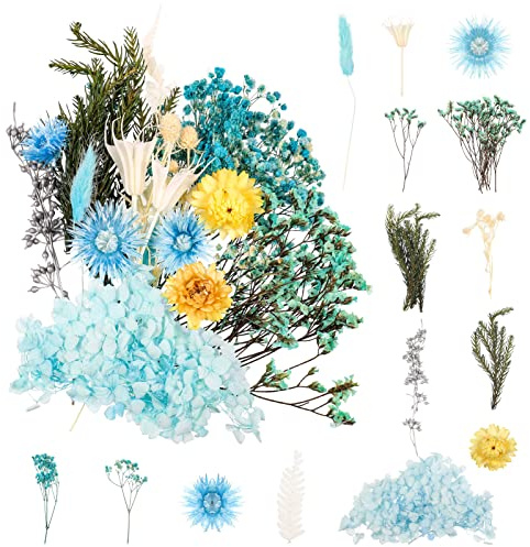 Halinuia Trockenblumen Blau, Natürliche Getrocknete Blumen zum Basteln, Echte Blumen Gepresst für DIY Epoxidharz Scrapbooking Kerzenherstellung Nagelkunst Blumenschmuck Handarbeit Hochzeitsdeko