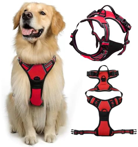 DKDDSSS Hundegeschirr Atmungsaktiv Brustgeschirr, Anti-Zug Geschirr, Hundegeschirr mit Atmungsaktiver Polsterung, HHundegeschirr Mittelgroße Hunde, Geschirr für Hunde, Rot, M