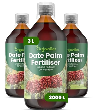 Engrais liquide organique 3x1L pour palmier dattier – vitalité et floraison durable – Organifer