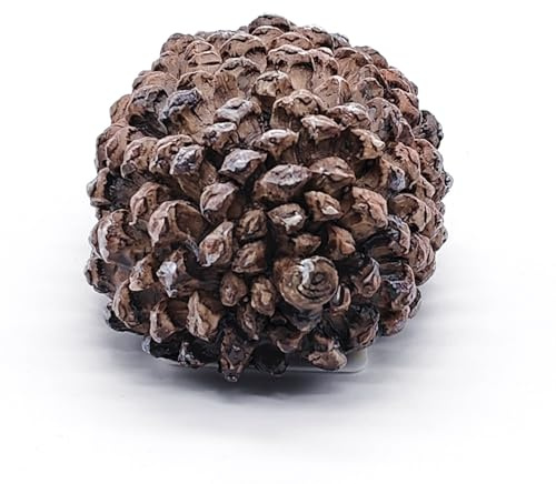 1 caja de llaves para ocultar las llaves de pino en el exterior, conos de pino falsos que ocultan una llave que parece piedra real, caja de seguridad secreta para llaves, patio, casa