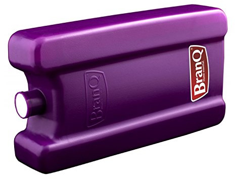 BranQ Kühlakku 1000ml Kühlelement für Kühltasche