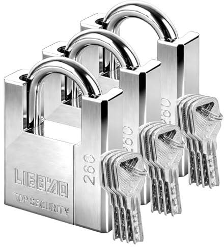 YKUKIZEE 3PCS Heavy Duty Padlock 60MM, Garden Gate Padlock Outdoor with Key | Silver, Container Padlock, for Shed, Garage, Gym, Fence