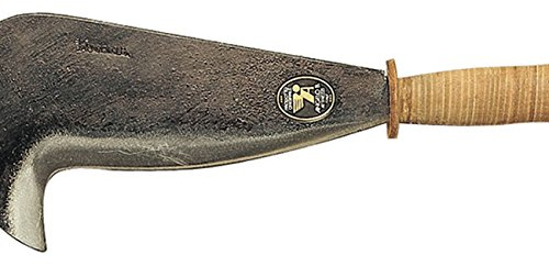 Angelo b. roncola maremma cm. 30
