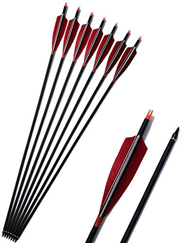 SHARROW 12pcs Pfeile für Bogenschießen Carbonpfeile 30 Zoll mit Naturfeder 5 Befiederung Jagdpfeile für Bogen für Recurvebogen und Compoundbögen