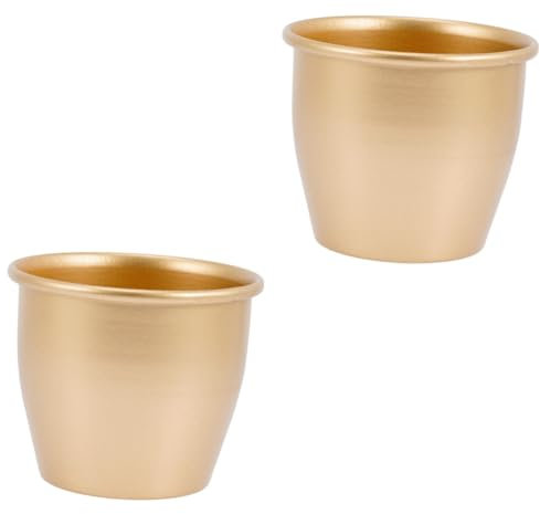 Kisangel 2St Blumentopf Zimmerpflanzen Blumendekor Innenausstattung für Damen Töpfe für Golddekor Anlage Blumentöpfe drinnen Pflanztopf automatisch Topfpflanze Kleine schmücken Eisen
