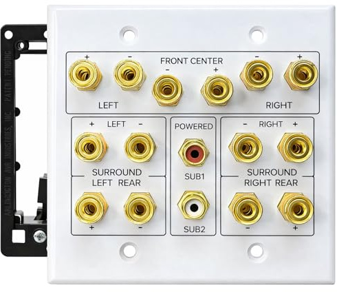 DIYTECH 7.2 Home Theater Speaker Wall Plate with 2 RCA Ports, Gold-Plated Binding Posts for Surround Sound Setup