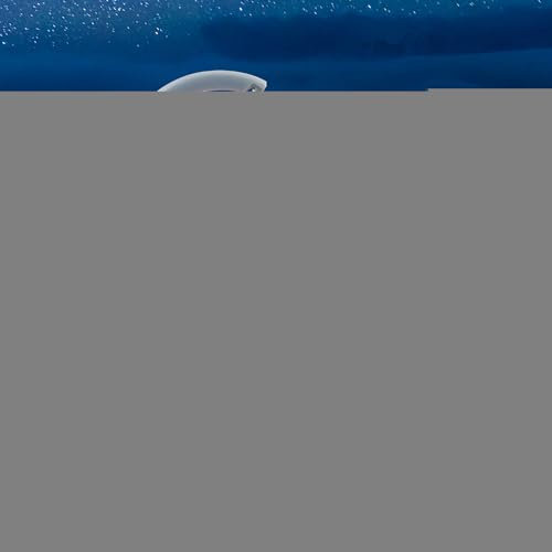 Insektenvernichter, Elektrischer Campinglampe Mückenfalle 2-in-1, Insektenfalle Moskito Killer mit UV-Lampe, für Schlafzimmer Camping Garten Innen und Aussen