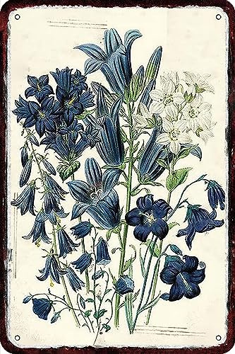 Metal Signs Flower Campanula Persicifolia Vintage Tin Sign Funny Art Wall Decorations for Home Man Cave Bedroom Bar Bathroom 8x12 Inch