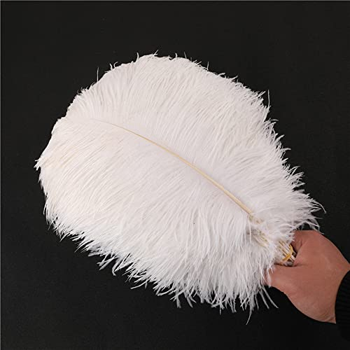 10 Stück 30-35cm Natürliche Straußenfedern,Strauß Feder zum Basteln,Bastel Federn für DIY Traumfänger Zubehör,Heimdekoration,KostüMe,Tischdeko Hochzeit Party Fest Hüte Kleidung Dekoration,Weiß