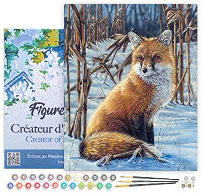 Figured'Art Peinture par Numéro Adulte avec Cadre Renard dans la neige - Activité Manuelle Kit de Loisir Créatif DIY Numéro d'Art Complet - 40x50cm toile tendue sur châssis