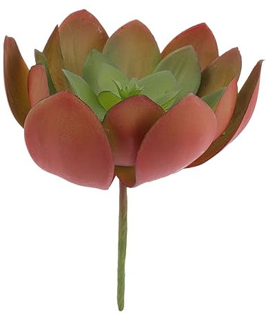 TOPBATHY Simulierte Sukkulenten kunstpflanze kunstplflanze Dekorationen wandverkleidung floerty blumenstrauß Bouquet Blumenarrangement schmücken Bilderrahmen Sukkulente Pflanzen Plastik