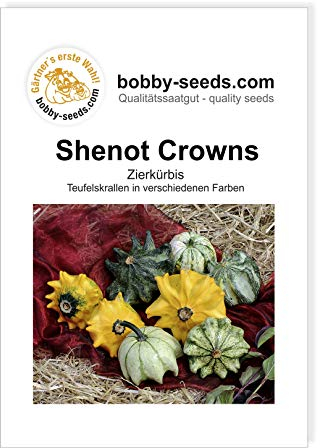 Shenot Crowns Zierkürbis kronenmischung von Bobby-Seeds, Portion