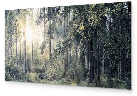 murando - Akustikbild Bilder Akustikschaum Hochleistungsschallabsorber Schallschutz Leinwand 1 tlg Wandbild Raumakustik Schalldämmung Landschaft Natur Wald Bäume c-C-0032-b-d