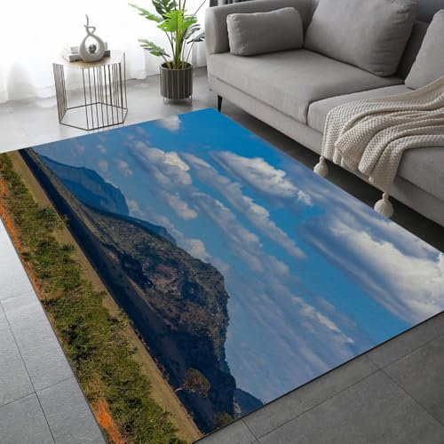 ARiXIaNg Elefant Teppich Kinderteppich Modern 3D Afrika Tiere Teppich Schlafzimmer rutschfeste FußMatte Kinder Teenager Kurzflor Teppiche FüR Flur Wohnzimmer Boden Teppich 80x120 cm